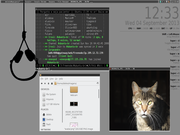 Openbox Manjaro Minimalista